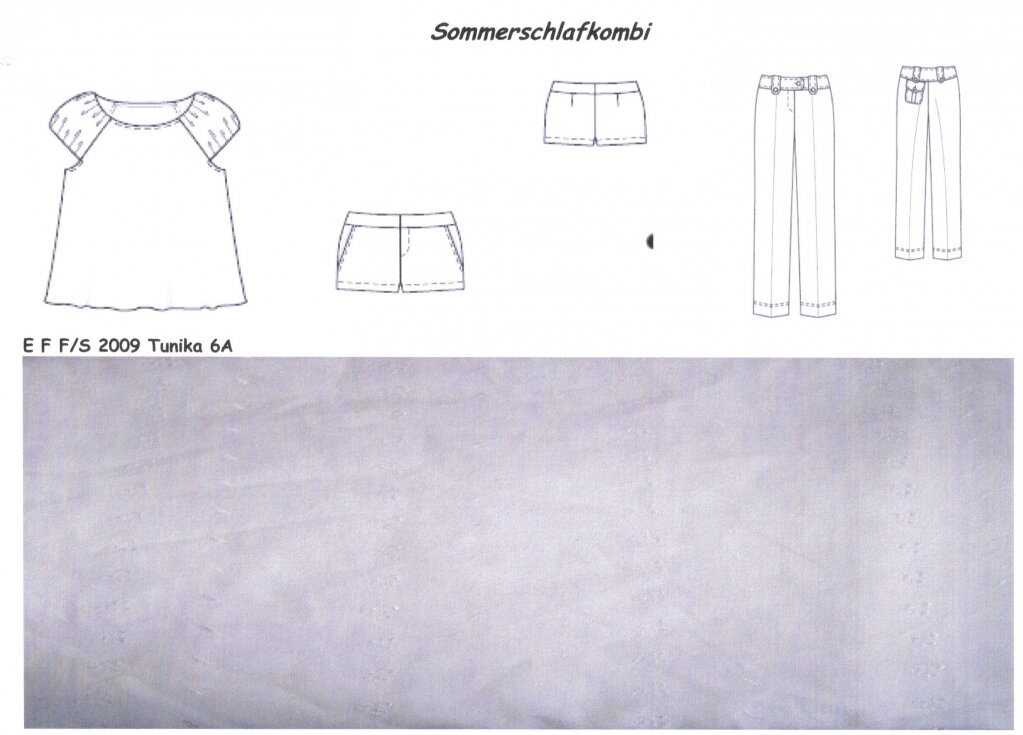 Sommer SWAP 2009