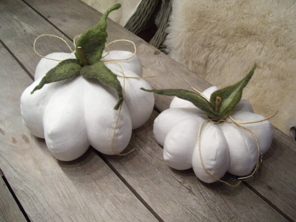 kürbis