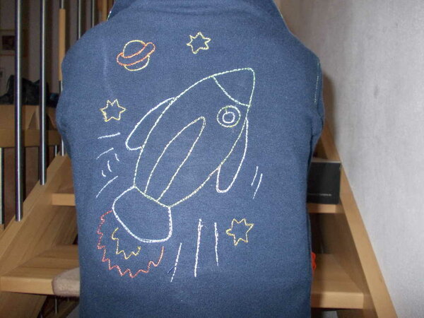 Der Astronautenpulli von hinten: Das Transportmittel...