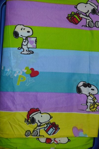 17) ganz dünner Snoopy-Stoff, ich denke, es ist BW, es fühlt sich auf einer Seite flanellig an, ich wollte eigentlich Sommernachthemdchen draus machen ... aber Snoopy ist out.
Blockstreifenbreite ca. 7,5cm, auch gut als Dekogardine etc. 210x200