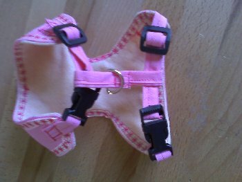 geschirr Rosa hinten