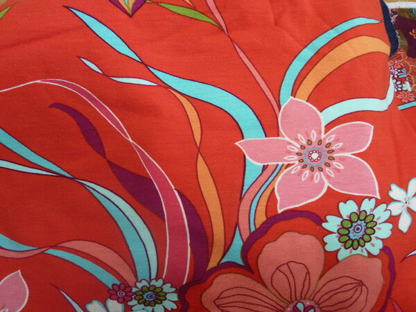 Jersey Tofftogs mit Blumen
Viskose? Elasthan?

0,45*1,46 + Anhang

Verhältnis: 2:1