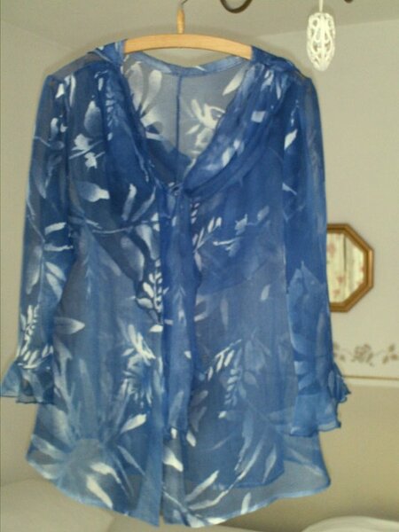 blaue Bluse transparent
