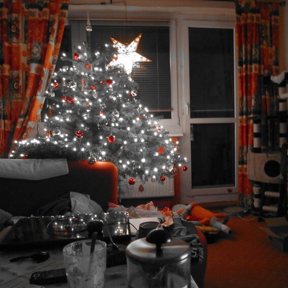 Canon ixus 210