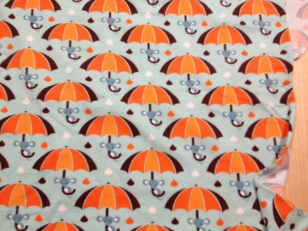 Rainy Mouse (?)
0,44x0,82=0,36 (TW 1,5= 0,54m²)