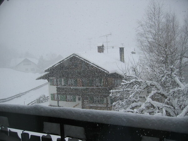 Schneetreiben im Januar 2010