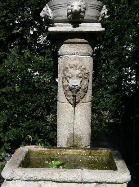 BILDER gemischt 063