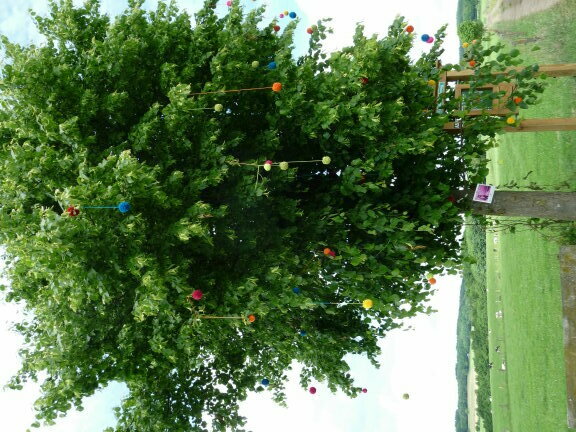 Textiler Kunstpfad 6 Pompom Tree 1