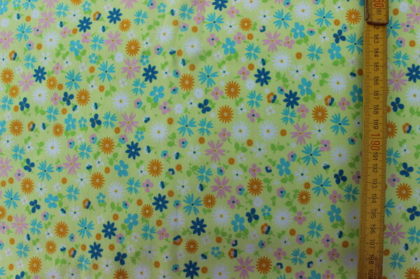 K18:
Jersey Blümchen auf hellgrün
Eigentümer: littlelursa
155 x 100 => 1,55 m²