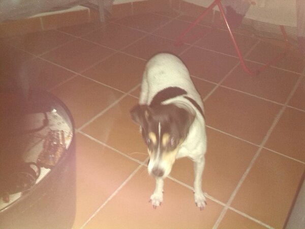 IMG 20131008 224627

GOERKEL