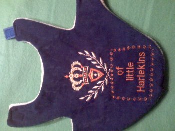 of Harlekins weit 350x263