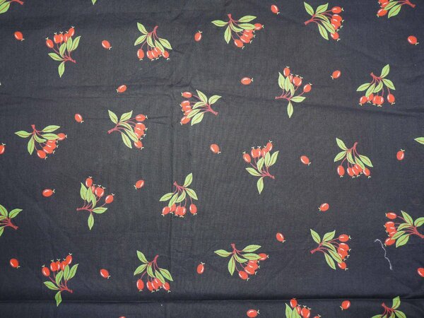 schwarze BW mit Hagebutten
120x85 cm
plus Rest