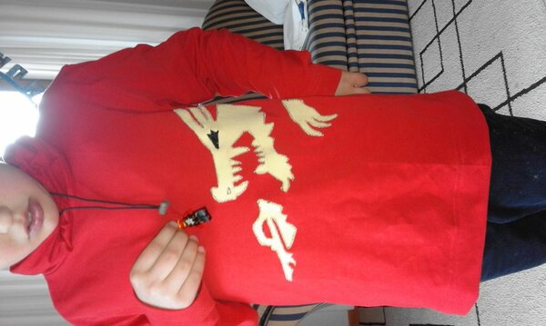 Ninjagodrache[1]