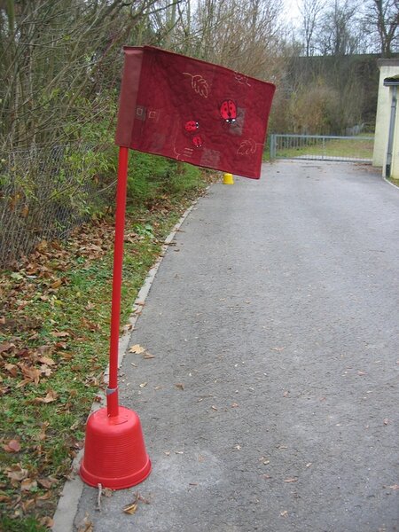 Fahne für die Käfergruppe