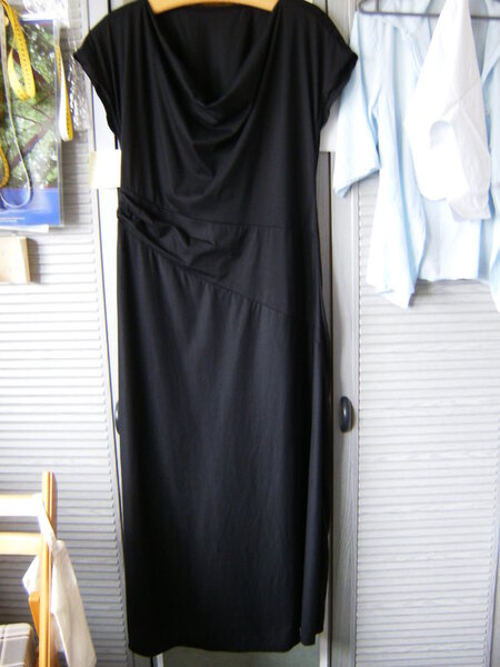 Eva Dress in lang