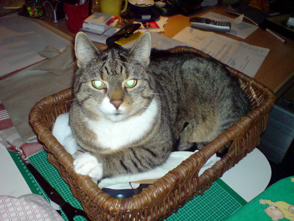In Memorial: Maximilian gestorben August 2009 :-((