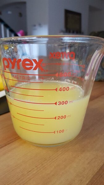 20170121 111151 resized Zitronen Saft