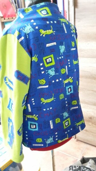 Katzensweat hinten