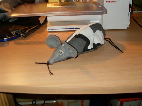 RatzePutz mein neues Haustier, dank Anke :-)