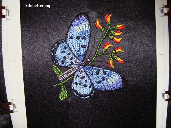 Ein Schmetterling