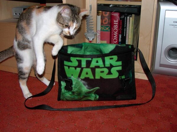 StarWars - Tasche mit Katze