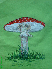 Amanita