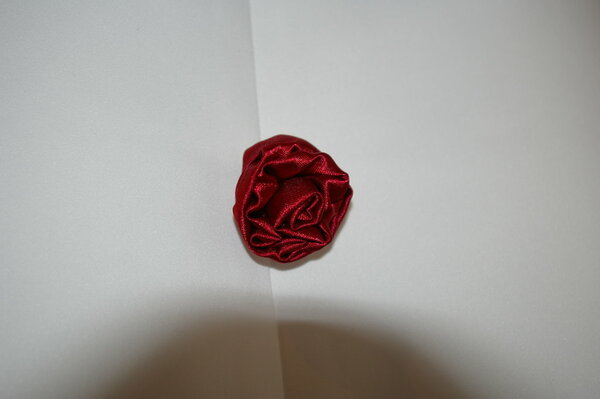 Eine Rose im Detail