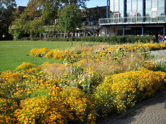 noch mehr Blumen