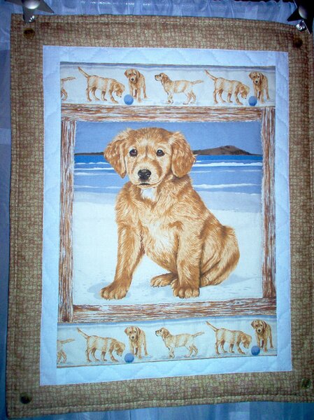 Hundebaby am Strand