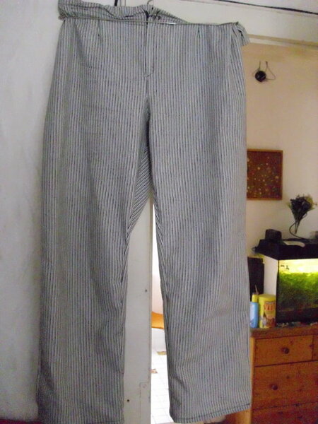 Sommerhose, bewärter Burda-Schnitt, Gr. 50 ohne Nahtzugabe zugeschnitten.