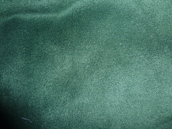 17) Fleece dunkelgrün

0,57*0,6m + Anhang

Tauschwert: 2:1