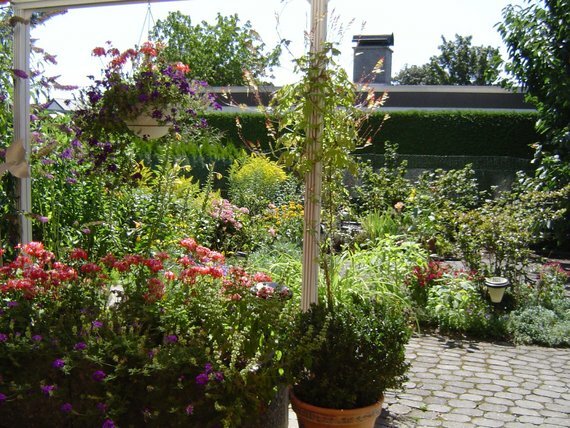 Blick in den Garten von der Terrasse aus. Das ist mein Blumen-Urwald im Hochsommer