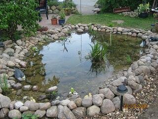 Teich Großaufnahme