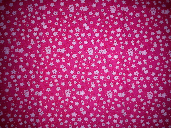 Pink mit Blümchen 60x57

Im Tauschring unterwegs