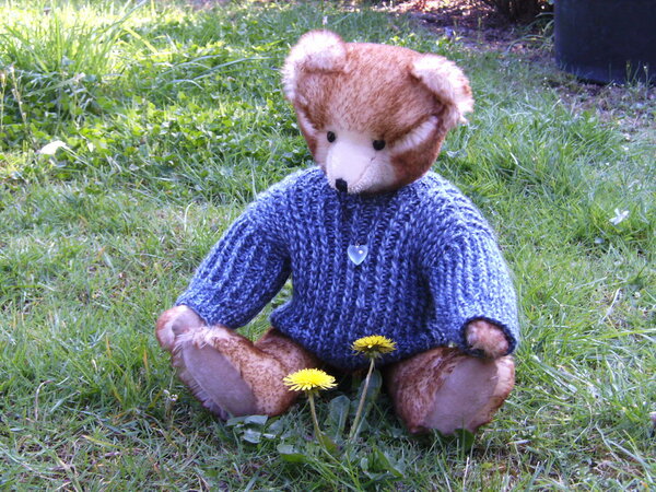 Bild 052

mein Teddy habe ich von der Hand genäht, aber der Pulli wurde nicht von mir gemacht.