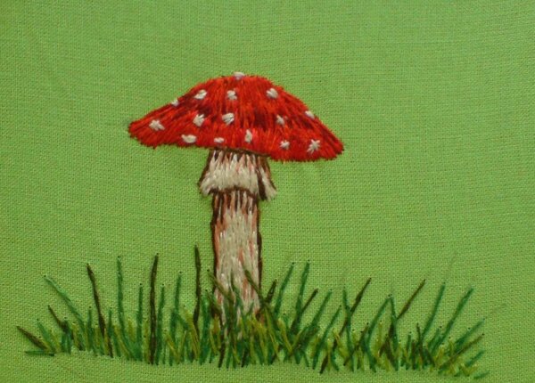Amanita