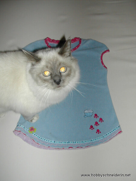 Amelie mit Kater...