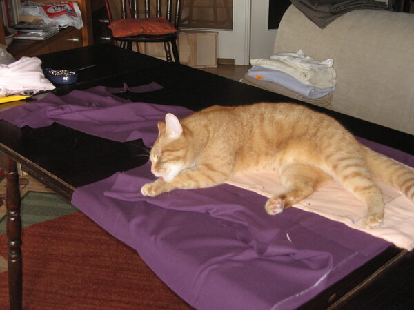 ...zumindest ist es bequem!