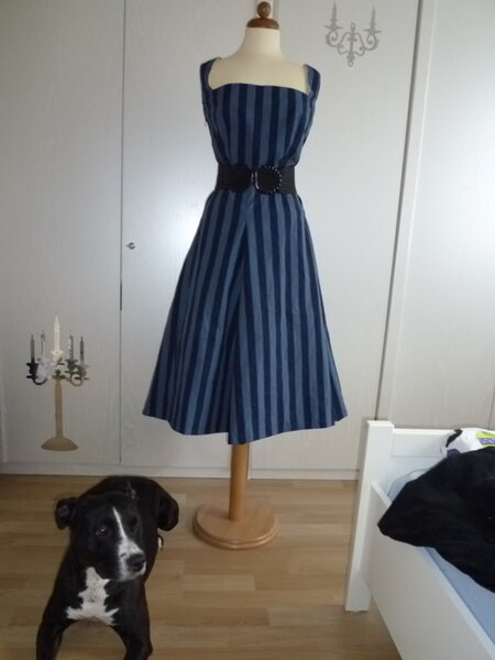 Blaues Kleid mit Hund