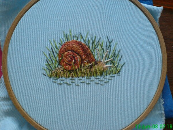 Schnecke auf der wiese