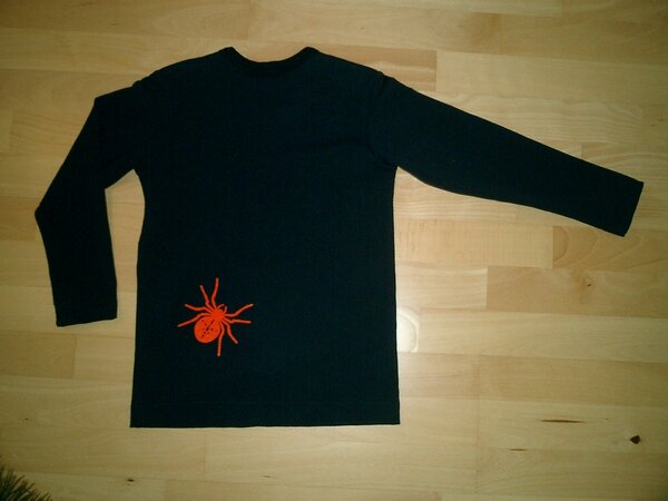 Spinnenpulli von hinten...