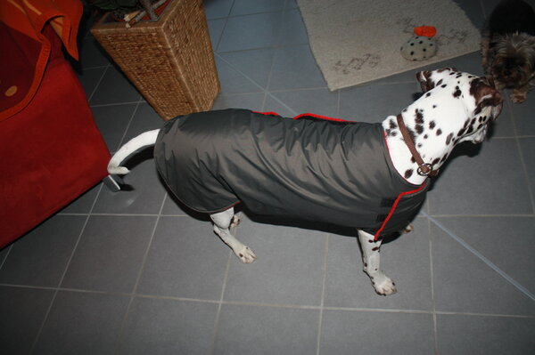 XXL Hundemantel