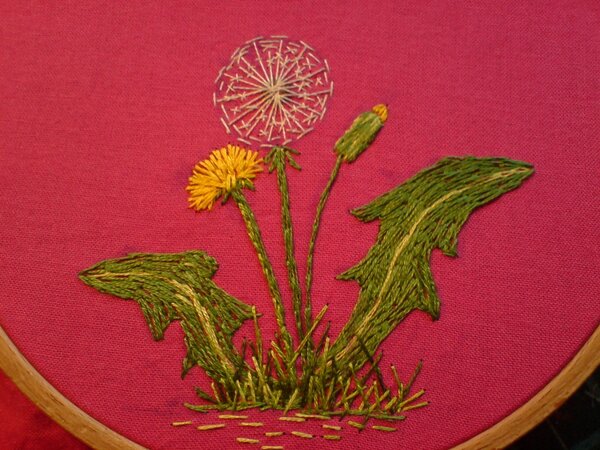 Dandelion