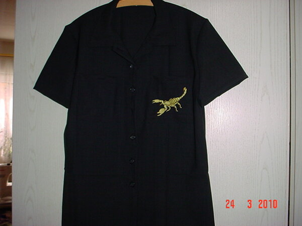 Bluse mit Stickerei