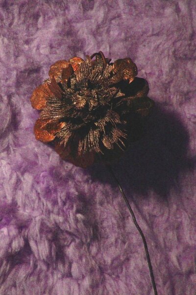 Blüte aus Kiefer-Tannenzapfen