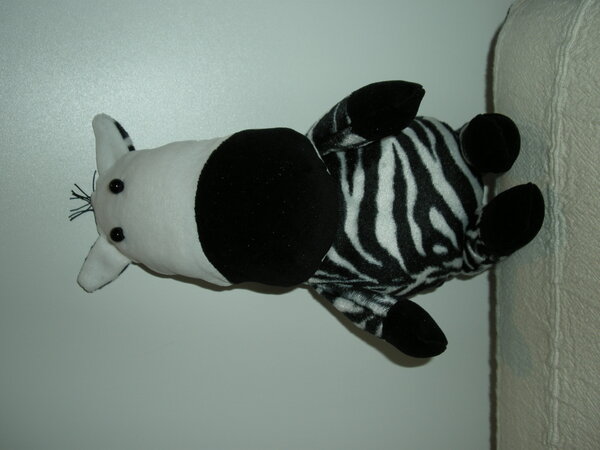 Mein erstes Zebra