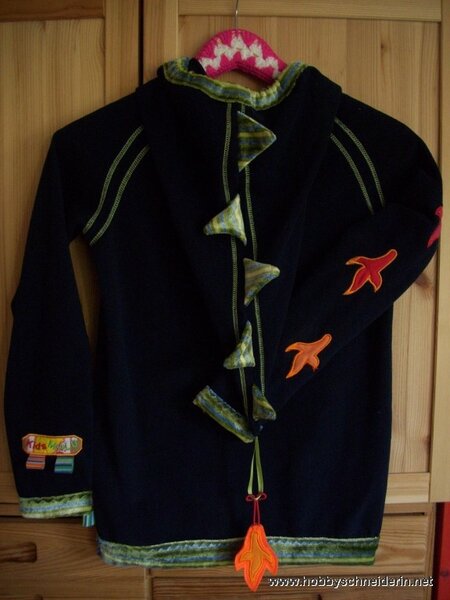 der Pulli dazu von hinten