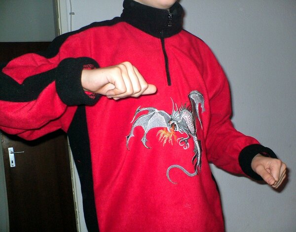 Drachenpulli