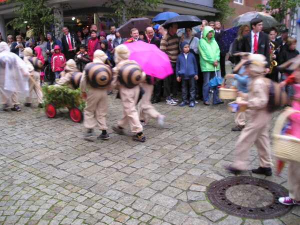 Schneckenhäuser