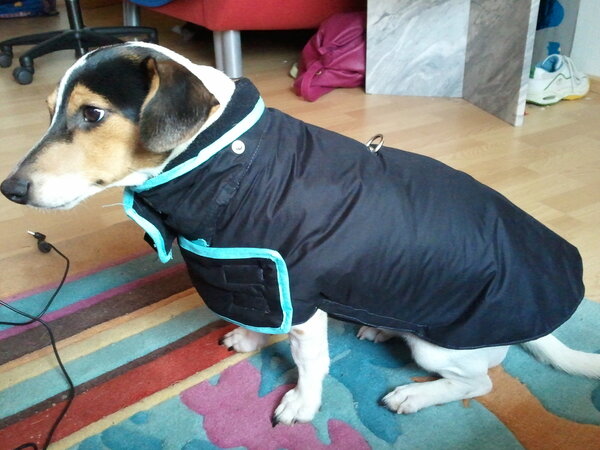 Das war mal meine Winterjacke!